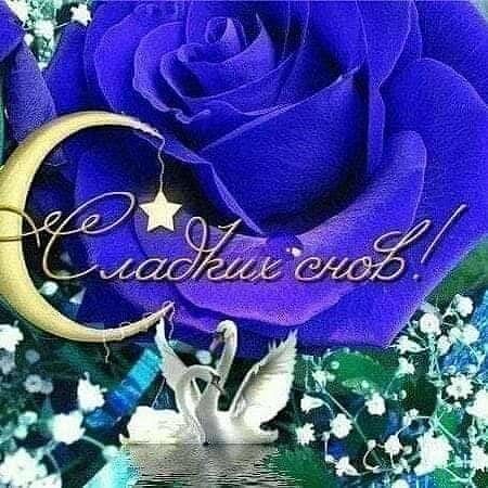 Открытка «Доброй ночи»: Спокойной ночи: Мудрая роза и лебеди «Сладких снов». Тэги: Спокойной ночи, Спокойной ночи…