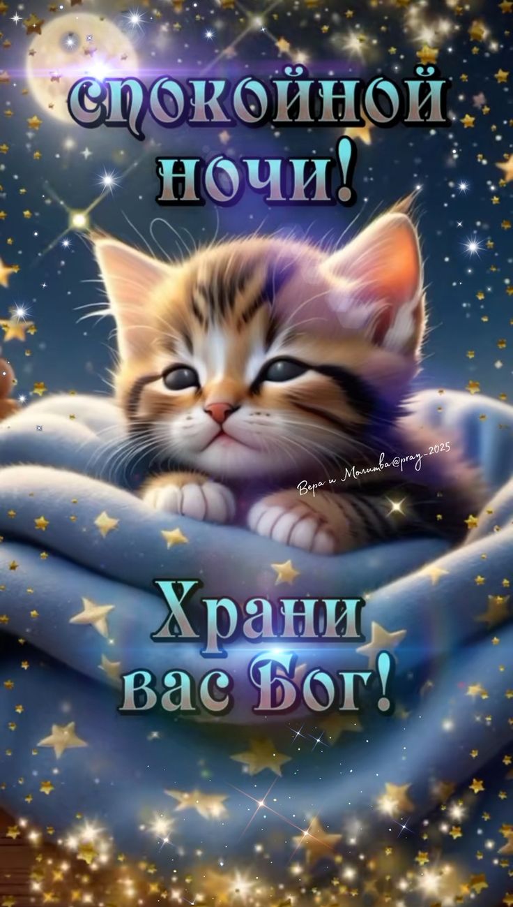 Открытка «Доброй ночи»: Спокойной ночи: Храни вас Бог! Милый котенок. Тэги: Спокойной ночи, пожелание, кот, милый…