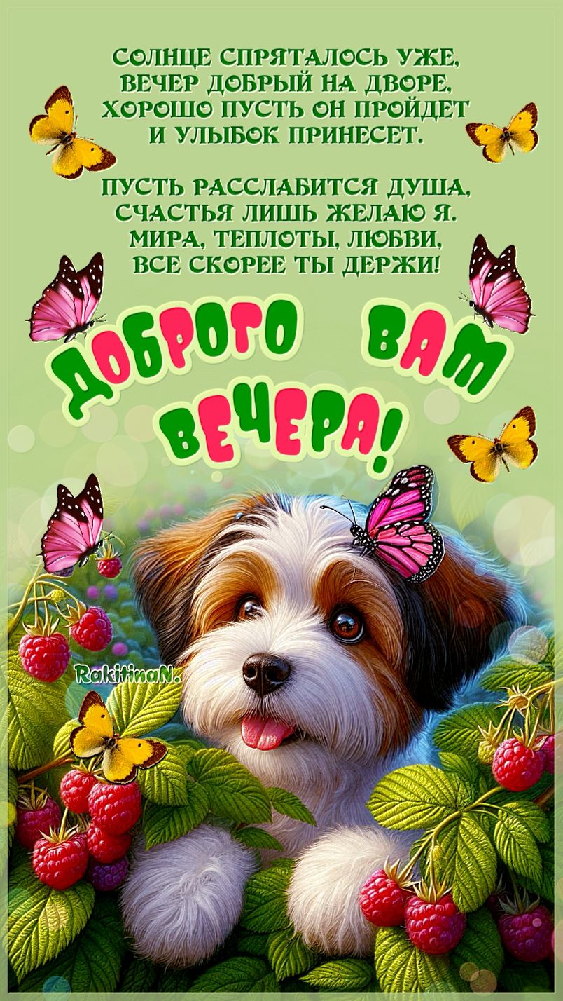 Открытка «Добрый вечер и пожелания»: Добрый вечер: милый щенок с бабочками и малиной. Тэги: Добрый позитивный вечер…