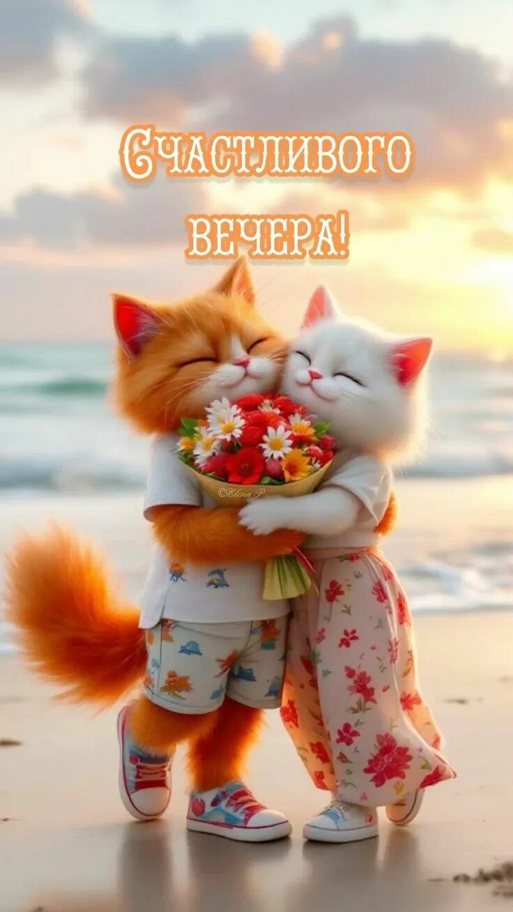 Открытка «Добрый вечер и пожелания»: Добрый вечер: влюбленные коты на берегу моря. Тэги: Доброго вечера и хорошего на…