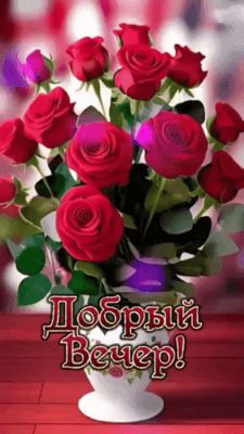Открытка «Добрый вечер и пожелания»: Добрый вечер! Шикарный букет красных роз в вазе. Тэги: Добрый вечер женщине…