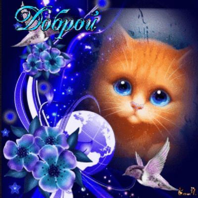 Открытка «Доброй ночи»: Доброй ночи: Милый рыжий кот и синие цветы. Тэги: Спокойной ночи, Спокойной ночи, с пожелания…