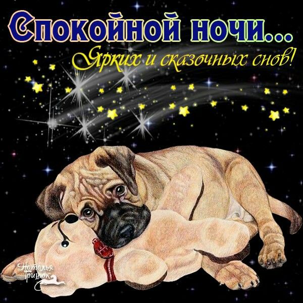 Открытка «Доброй ночи»: Доброй ночи: милый щенок и яркие сказочные сны. Тэги: Спокойной ночи, Спокойной ночи, красивые…