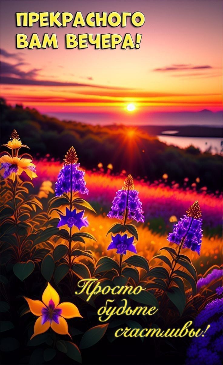 Открытка «Добрый вечер и пожелания»: Добрый вечер: Прекрасного вечера и закат в цветах. Тэги: Добрый вечер, с цветами…