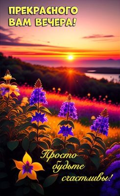 Открытка «Добрый вечер и пожелания»: Добрый вечер: Прекрасного вечера и закат в цветах. Тэги: Добрый вечер, с цветами…