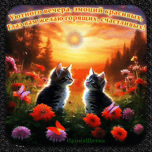 Открытка «Добрый вечер и пожелания»: Добрый вечер: Котята и яркий закат в цветах. Тэги: Добрый вечер красивые, Доброг…