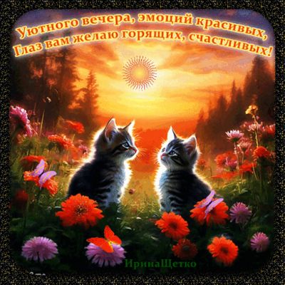 Открытка «Добрый вечер и пожелания»: Добрый вечер: Котята и яркий закат в цветах. Тэги: Добрый вечер красивые, Доброг…
