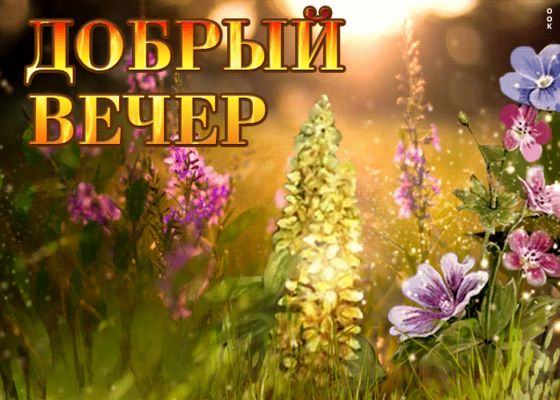 Открытка «Пожелание»: Добрый вечер: «Волшебные цветы в лучах заката». Тэги: настроение, хороший, солнце, лето, прекра…