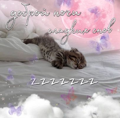 Открытка «Доброй ночи»: Спокойной ночи: милый котенок и сладкие сны. Тэги: Спокойной ночи, Спокойной ночи, с пожелани…