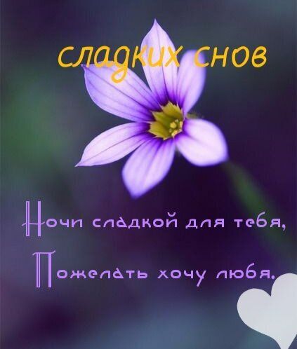 Открытка «Доброй ночи»: Спокойной ночи: красивая открытка Сладких снов. Тэги: Спокойной ночи, Спокойной ночи, красивые…