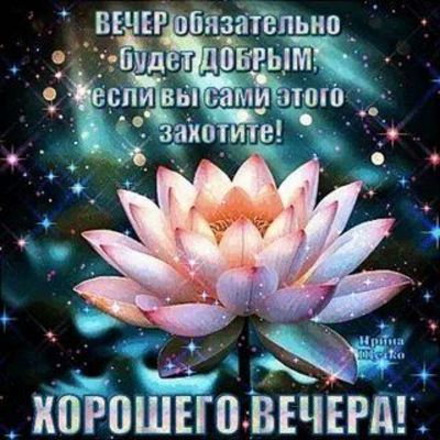 Открытка «Проза»: Добрый вечер: Красивое пожелание и лотос. Тэги: философский, Добрый вечер и пожелания, Добрый позит…