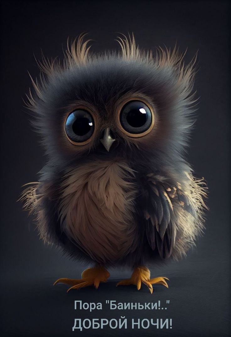 Открытка «Доброй ночи»: Спокойной ночи: прикольный пушистый совенок. Тэги: Спокойной ночи, Спокойной ночи, с пожелани…