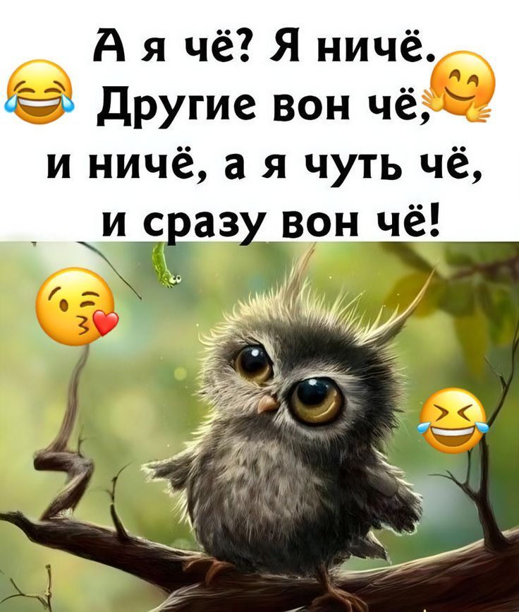 Открытка «С добрым утром»: С добрым утром! Забавный совенок и ироничный юмор. Тэги: хорошего дня, животное, пожелание…