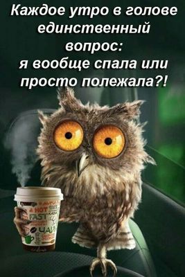 Открытка «С добрым утром»: С добрым утром! Сова и вечный вопрос о сне. Тэги: пожелание, отличное настроение, юмор…