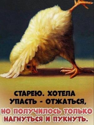 Открытка «С добрым утром»: С добрым утром! Когда утро начинается с юмора.. Тэги: хорошего дня, животное, пожелание…