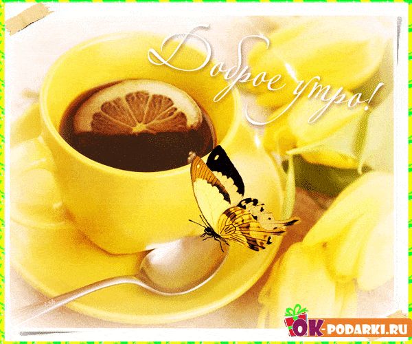 Открытка «С добрым утром»: Солнечное доброе утро с чашкой чая и бабочкой. Тэги: хорошего дня, пожелание, позитивная…