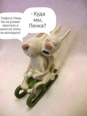 Открытка «Добрый день»: Доброе утро: пофигу, главное, чтобы за ушами свистело!. Тэги: Добрый день и добрые пожелания…