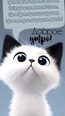 Открытка «С добрым утром»: Пушистое Доброе утро: пусть день будет удачным!. Тэги: хорошего дня, кот, животное, пожела…