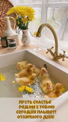 Открытка «С добрым утром»: Доброе утро: счастье плывет к тебе с утятами!. Тэги: животное, пожелание, отличное настрое…