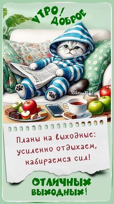 Открытка «С добрым утром»: Доброе утро и отличных выходных: время для отдыха!. Тэги: кот, животное, пожелание, позити…