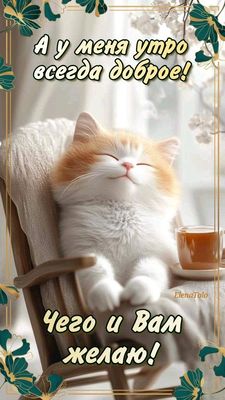 Открытка «С добрым утром»: Пушистое доброе утро и теплые пожелания. Тэги: кот, животное, пожелание, улыбка, утро, кофе…