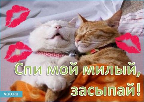 Открытка «Доброй ночи»: Спокойной ночи: «Спи мой милый, засыпай!». Тэги: Спокойной ночи, Спокойной ночи, с пожеланиями…