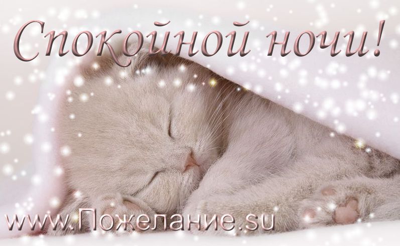 Открытка «Доброй ночи»: Спокойной ночи: «Сонный котик под одеялом». Тэги: Спокойной ночи, Спокойной ночи, с пожелания…