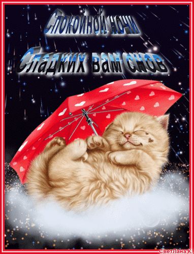 Открытка «Доброй ночи»: Спокойной ночи: Кот под зонтом и сладких снов. Тэги: Спокойной ночи, Спокойной ночи, красивые…