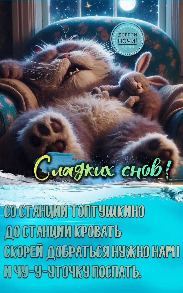 Открытка «Доброй ночи»: Спокойной ночи: Кот Топтушкин и сладкие сны. Тэги: Спокойной ночи, Спокойной ночи, с пожелани…