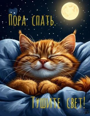 Открытка «Доброй ночи»: Спокойной ночи: Пора спать! Спящий рыжий кот. Тэги: Спокойной ночи, Спокойной ночи, красивые…