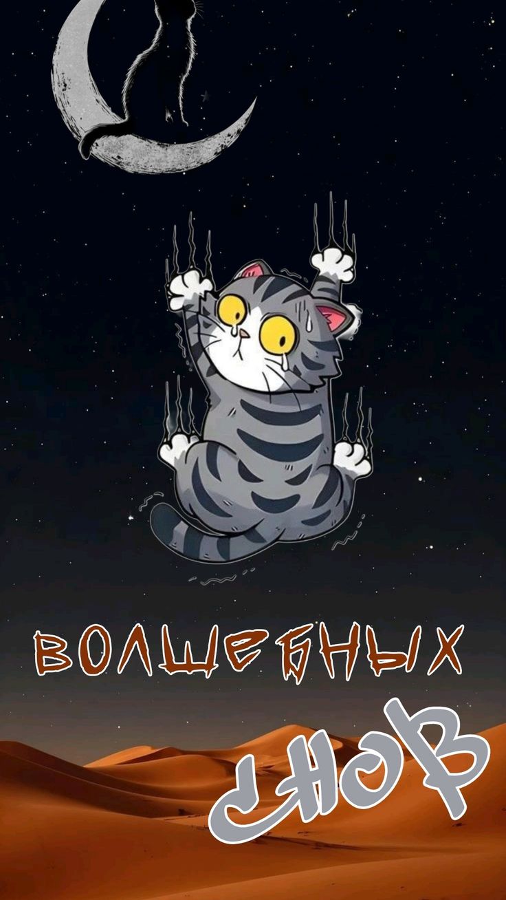 Открытка «Доброй ночи»: Спокойной ночи: «Волшебных снов» с забавным котом. Тэги: Спокойной ночи, Спокойной ночи…