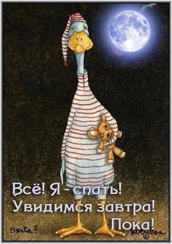 Открытка «Доброй ночи»: Открытка доброй ночи: «Все! Я — спать!».