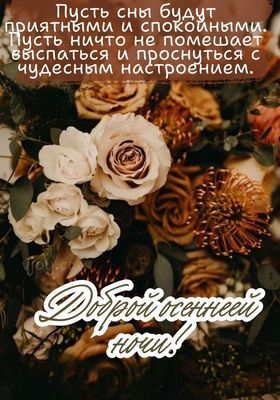 Открытка «Доброй ночи»: Доброй ночи: «Осенний букет» с розами.