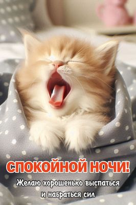 Открытка «Доброй ночи»: Спокойной ночи: сонный котик и доброе пожелание. Тэги: Спокойной ночи, Спокойной ночи, с поже…