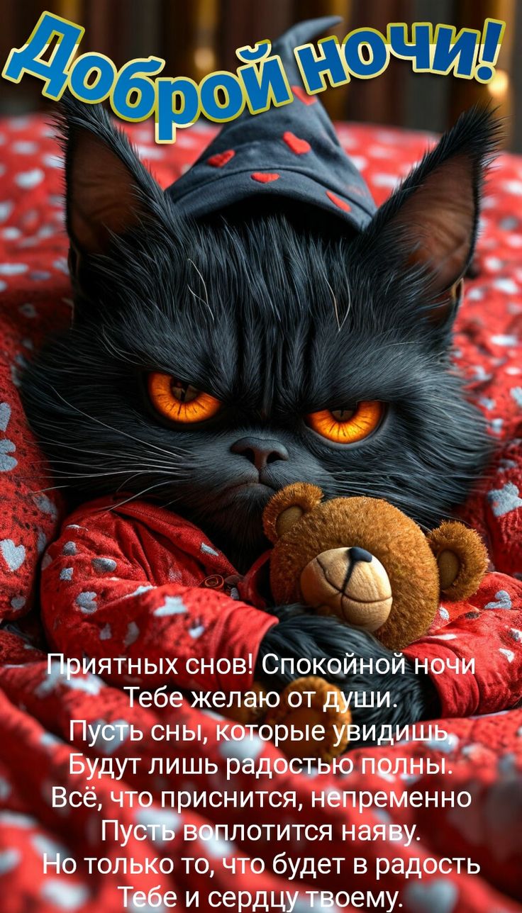 Открытка «Доброй ночи»: Доброй ночи! Пожелание спокойной ночи с черным котом. Тэги: Спокойной ночи, Спокойной ночи…