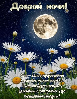 Открытка «Доброй ночи»: Спокойной и доброй ночи: «Ромашки под полной луной». Тэги: Спокойной ночи, Спокойной ночи…