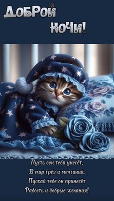 Открытка «Доброй ночи»: Доброй ночи: «Сонный котик в колпачке». Тэги: Спокойной ночи, Спокойной ночи, с пожеланиями…