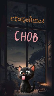Открытка «Доброй ночи»: Спокойной ночи: прикольный черный кот у окна. Тэги: Спокойной ночи, Спокойной ночи, с пожелан…