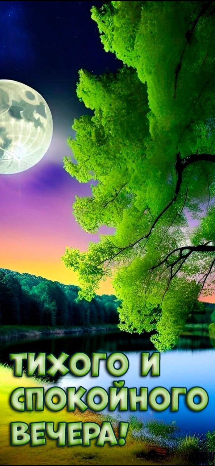 Открытка «Добрый вечер и пожелания»: Добрый вечер: «Сказочный полнолунный вечер у реки». Тэги: Добрый вечер красивые…