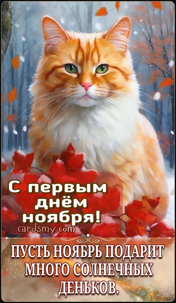 Открытка «Добрый день»: Добрый день: С первым днем ноября и рыжим котом. Тэги: Добрый день и добрые пожелания, Добрый…