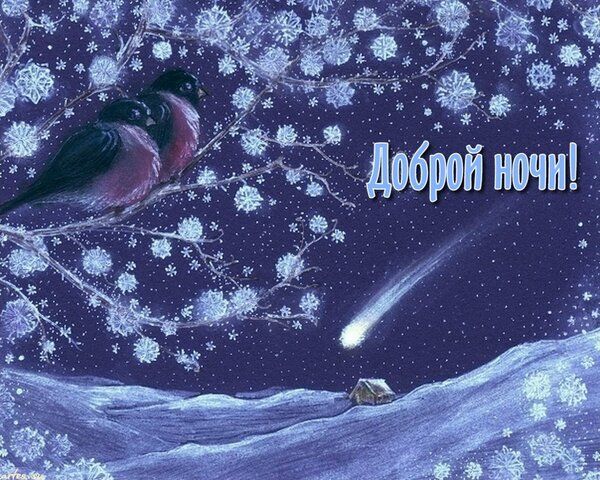 Открытка «Доброй ночи»: Спокойной и доброй ночи: «Снегири на ветке». Тэги: комета
