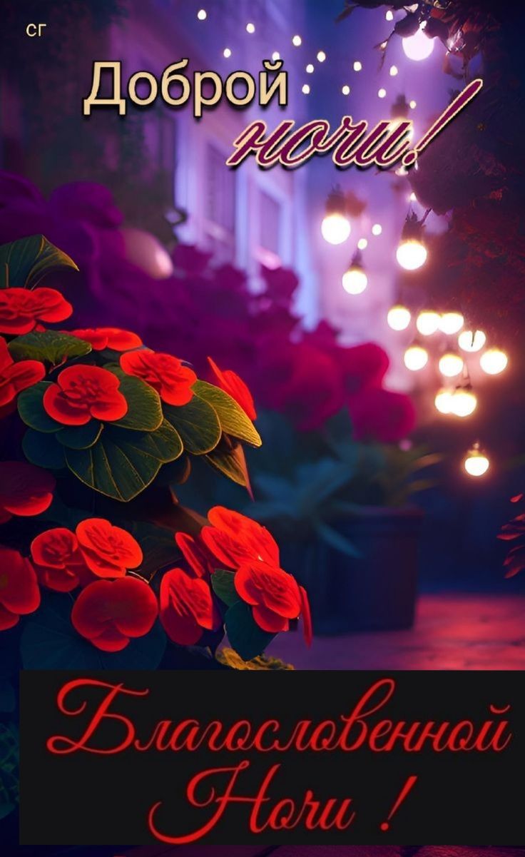 Открытка «Доброй ночи»: Доброй ночи: Благословенной ночи и ярких цветов.