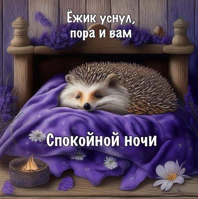 Открытка «Доброй ночи»: Доброй ночи: Спящий ежик и уютное пожелание. Тэги: Спокойной ночи, Спокойной ночи, с пожелани…