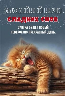 Открытка «Доброй ночи»: Спокойной ночи: Сладких снов с рыжим котеночком. Тэги: Спокойной ночи, Спокойной ночи, красив…