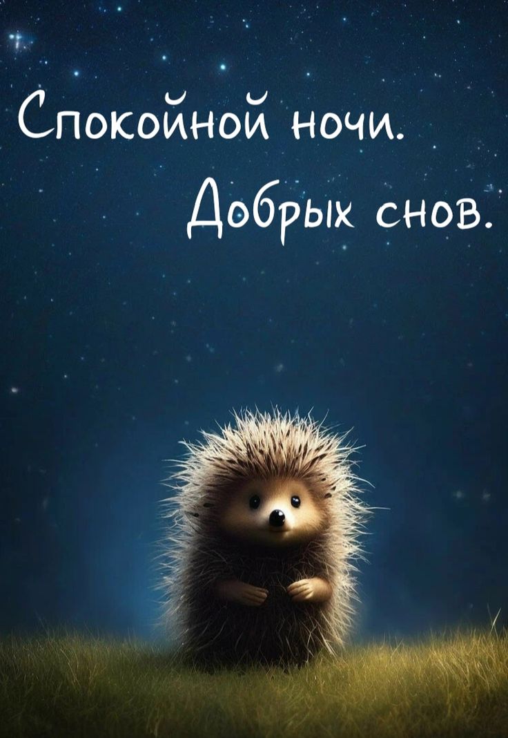 Открытка «Доброй ночи»: Доброй ночи: милый ежик и звездное небо. Тэги: Спокойной ночи, Спокойной ночи, с пожеланиями…