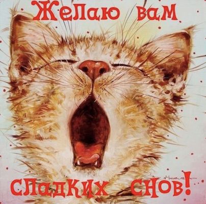 Открытка «Доброй ночи»: Доброй ночи: Сладких снов от пушистого кота.