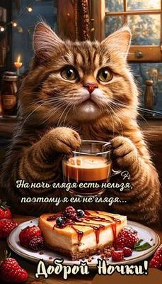 Открытка «Доброй ночи»: Доброй ночи: Смешной кот с аппетитным чизкейком. Тэги: Спокойной ночи, Для поднятия настроения…