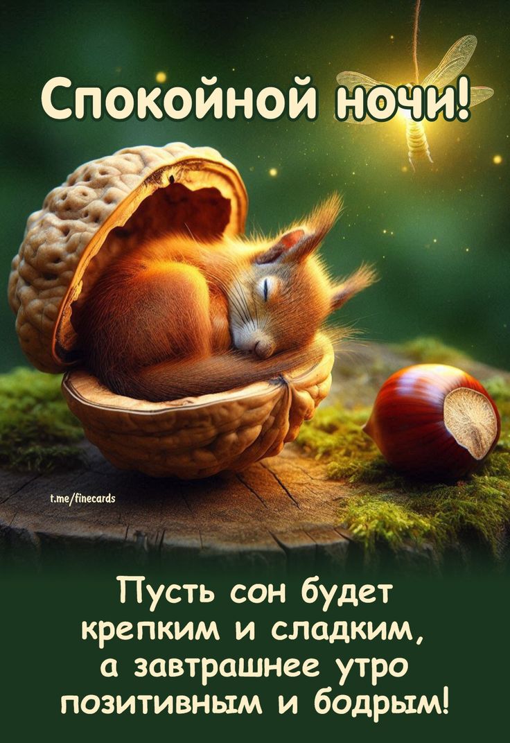 Открытка «Доброй ночи»: Спокойной ночи: «Белочка в скорлупе». Тэги: Спокойной ночи, Спокойной ночи, с пожеланиями…
