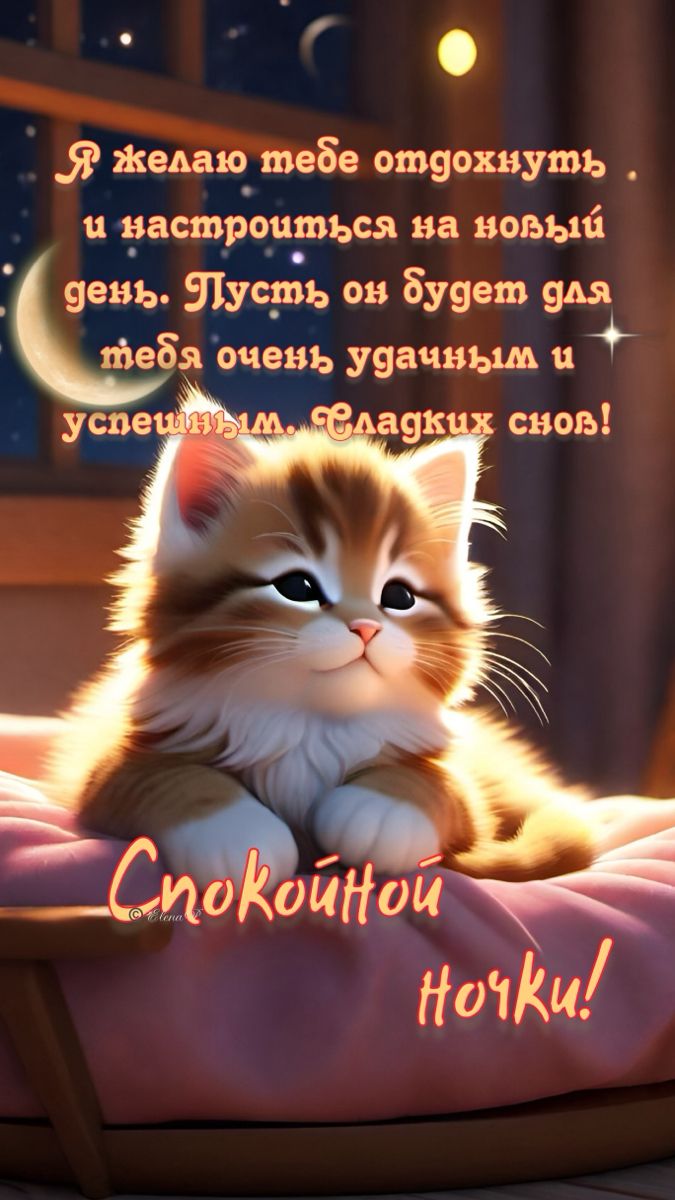 Открытка «Доброй ночи»: Спокойной ночи: милый котенок и пожелание отдыха. Тэги: Спокойной ночи, Спокойной ночи…