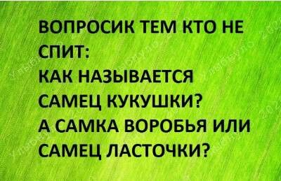 Открытка «Доброй ночи»: Спокойной ночи: прикольный вопрос для тех, кто не спит.